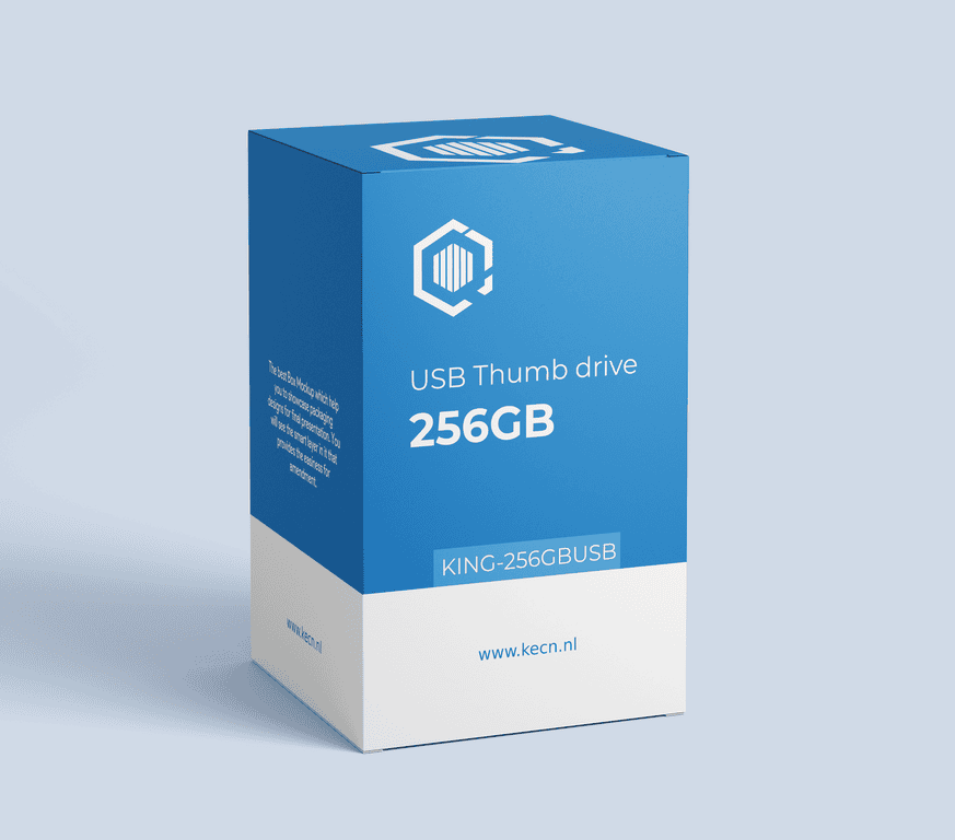 USB Stick 256GB