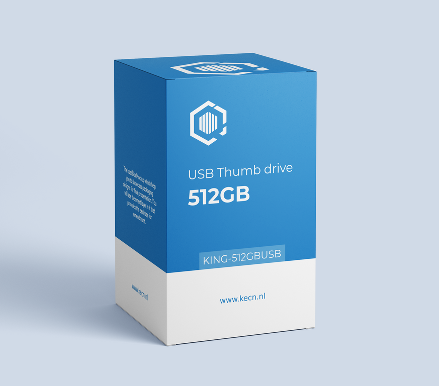 USB Stick 512GB